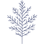 Logo Ten Oaks Group