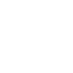 Logo Quiver, Inc. /Fl/