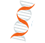 Logo ImmuneSensor Therapeutics, Inc.