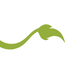 Logo Lionheart Children's Academy