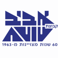 Logo Aviv & Co. Group Real Estate 1963 Ltd.