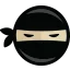 Logo Code Ninjas LLC
