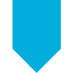 Logo Arcserve (UK) Ltd.