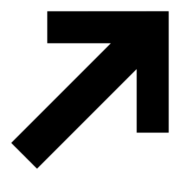 Logo Fortior Solutions LLC