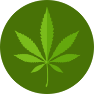 Logo Pharmocann Ltd.