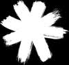 Logo Wildstar Films Ltd.