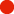 Logo Ascodama Pty Ltd.