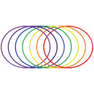 Logo Biosynchronicity Corp.
