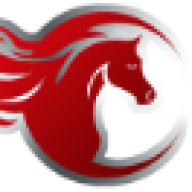 Logo Global Alliance Advisors LLC