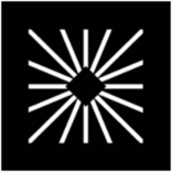 Logo Salience Labs Ltd