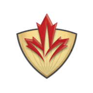 Logo Paragon Testing Enterprises, Inc.
