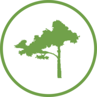Logo Lone Cypress Energy Services LLC