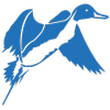 Logo Pintail Midstream LLC