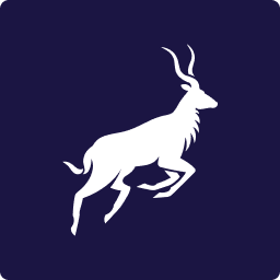 Logo Nyala Digital Asset AG