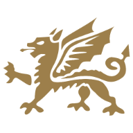 Logo Celtic Manor Service Co. Ltd.