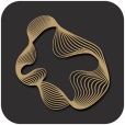 Logo Future Now Capital Management Pty Ltd.