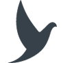 Logo Rapid Data AG Unternehmensberatung