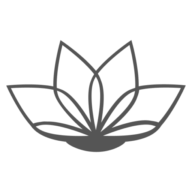 Logo Lotus Capital Corp.