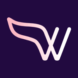 Logo Wing Security Ltd.