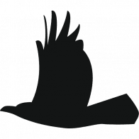 Logo Raven Capital Management