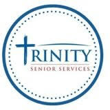 Logo Trinity It Services LLC