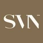 Logo SVN Gestora de Recursos Ltda.
