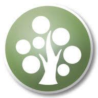 Logo PayMaple LLC