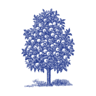 Logo Hoxton Planning & Management LLC