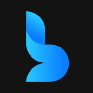 Logo Bright Blue