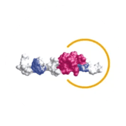 Logo Adipopharma