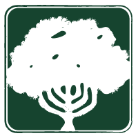 Logo Capital Camps