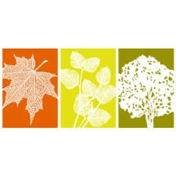 Logo Bayscape Landscape Management