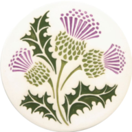 Logo Thistle Resources Corp.