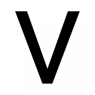 Logo VISIONS/Services for the Blind & Visually Impaired