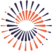 Logo VisionSpring, Inc.