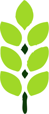 Logo Genossenschaft Agrarland eG Lüttewitz