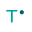 Logo T Bridge SpA