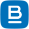 Logo Bottomline Technologies Ltd.
