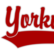 Logo Yorkville Youth Athletic Association