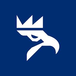 Logo Miedzi Copper Corp.