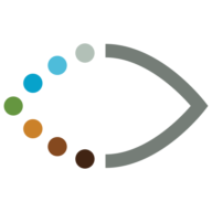 Logo Lions World Vision Institute